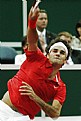 Picture Title - Roger Federer 