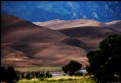 Picture Title - Evening Dunes