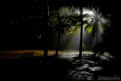 Picture Title - 1 Rainy Night