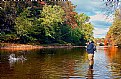 Picture Title - Streamside in autumn