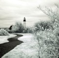 Picture Title - Coastal Paths