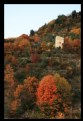 Picture Title - autumn_03