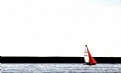 Picture Title - The red sail