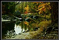 Picture Title - Yosemite Park