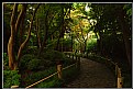 Picture Title - Japanese Garden