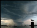 Picture Title - Storm Front