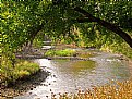 Picture Title - Naperville River Walk