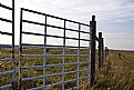 Picture Title - Prairie Walk