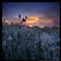 Picture Title - Daybreak at Salt Fork Lake