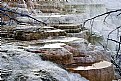 Picture Title - Mammoth Hot Springs