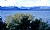 Trees & Lake