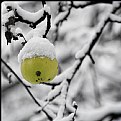 Picture Title - ..green apple with caster sugar..