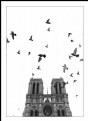 Picture Title - Notre-Dame 