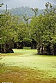 Picture Title - dead lagoon