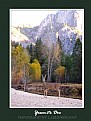 Picture Title - Yosemite Deer