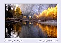 Picture Title - Fall Foliage 2007