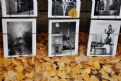 Picture Title - autumn in paris