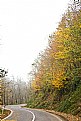 Picture Title - iran autumn4