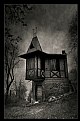 Picture Title - Haunt