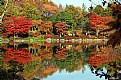 Picture Title - Afternoon in the Japanese garden...