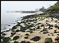 Picture Title - Misty Bay Beach