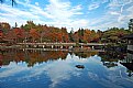 Picture Title - The sky fell in the pond.....