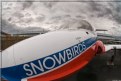 Picture Title - Snowbird