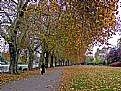 Picture Title - An Autumn Walk