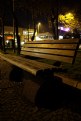 Picture Title - bench