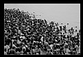 Picture Title - Sea of Humanity