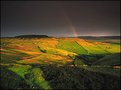 Picture Title - Yorkshire Moors