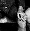 Picture Title - Hand of an Old Farmer