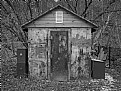 Picture Title - Old Shed