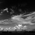 Picture Title - cielo olandese