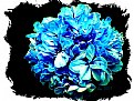 Picture Title - Blue flower!