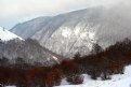 Picture Title - winter landscape