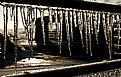 Picture Title - Ice Curtain