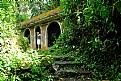 Picture Title - Tribal Amazonian Woman of El Yunque Rain Forest