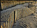 Picture Title - Dune fence 