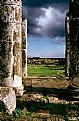 Picture Title - Apamea