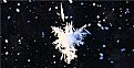 Picture Title - Snowstar