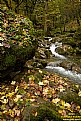 Picture Title - iran autumn13