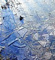 Picture Title - On  frozen  pond