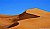 (( Sands )) 