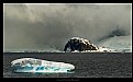 Picture Title - Cuverville Island, Antarctic