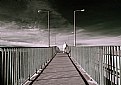 Picture Title - Walkway to Heaven