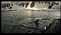 Picture Title - Leopard Seal Bites Boat