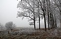 Picture Title - Winterscape