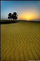 Picture Title - arab desert