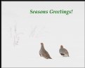 Picture Title - Seasons Greetings!